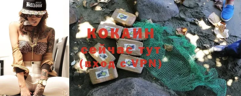 Cocaine Перу  omg маркетплейс  Камышлов 