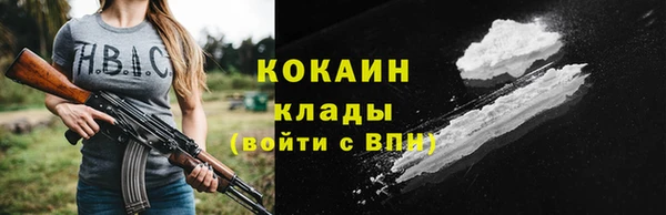 мдпв Майский