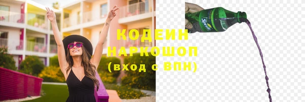 мдпв Майский