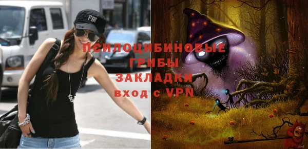 прущая мука Магас