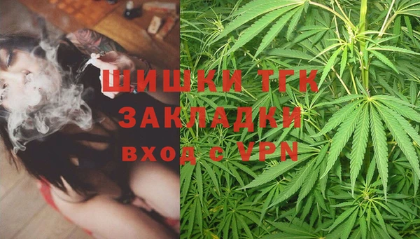 мяу мяу мука Магадан