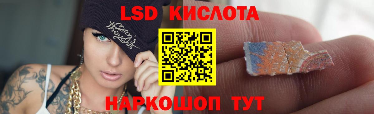 ЛСД экстази кислота  LSD-25 экстази кислота  Камышлов  Вход с VPN 