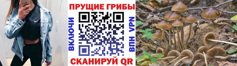 Галлюциногенные грибы MAGIC MUSHROOMS  Камышлов 