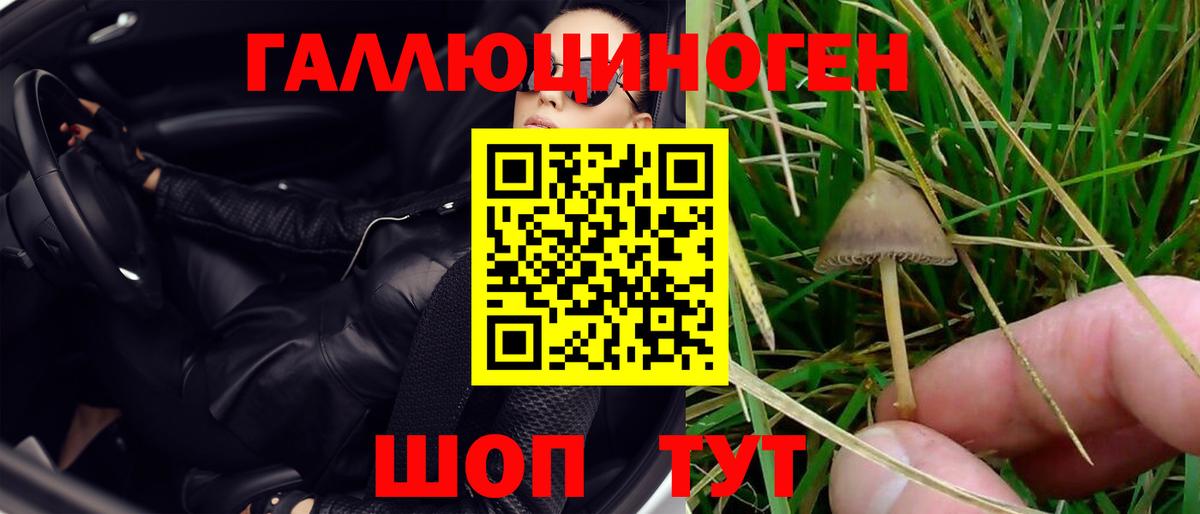 Галлюциногенные грибы ЛСД Камышлов