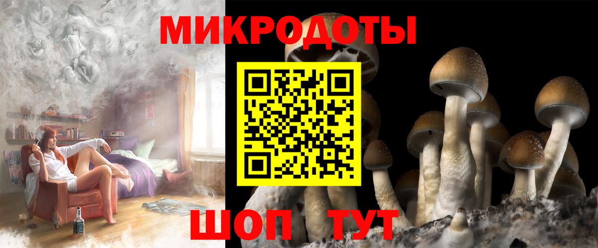 Псилоцибиновые грибы ЛСД Камышлов