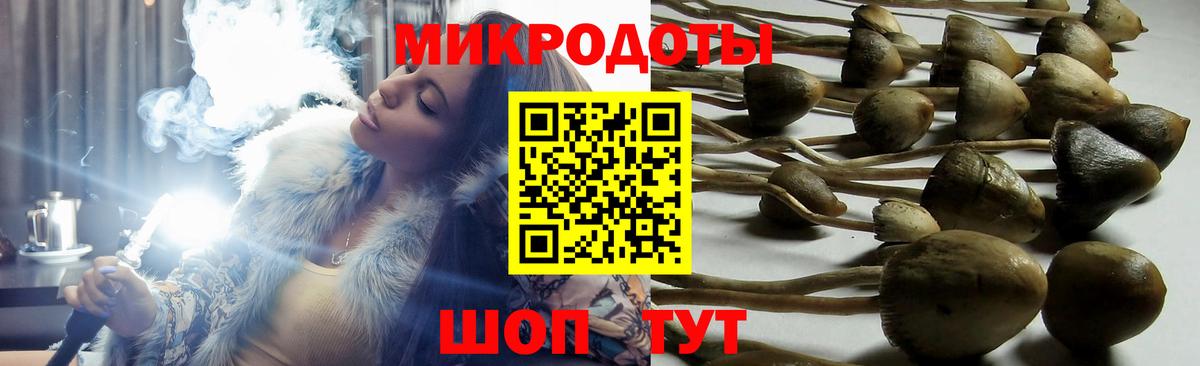 Псилоцибиновые грибы GOLDEN TEACHER  Вход с VPN  Камышлов 